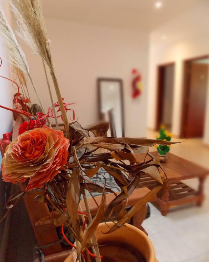 Portal De Los Valles Chicoana Dış mekan fotoğraf